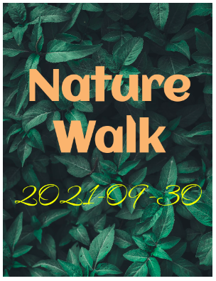 Nature Walk